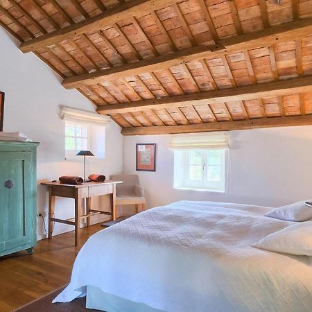 Villa Cipresso Poreč Exteriér fotografie